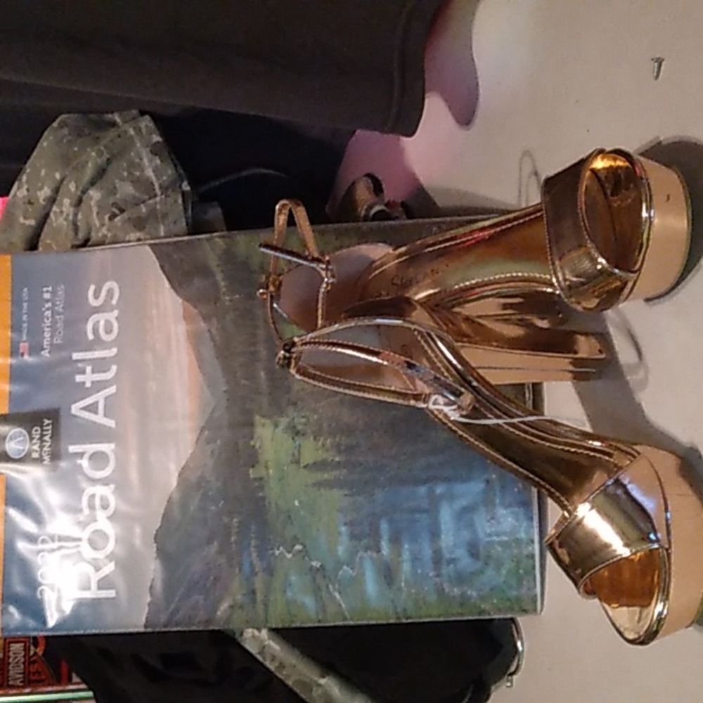 Shoe Land Rose Gold heels